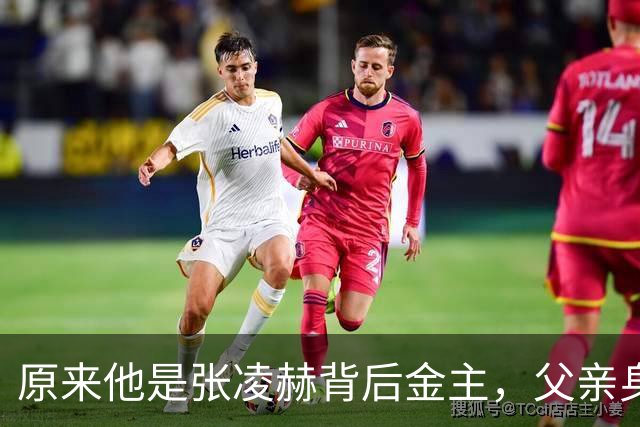 原来他是张凌赫背后金主，父亲身价180亿，难怪能轻松捧出顶流